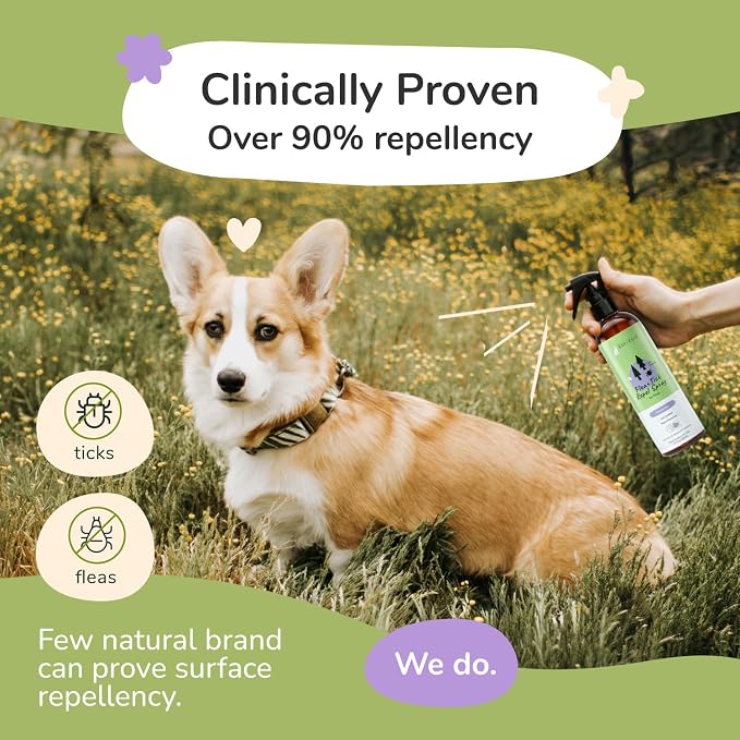 kin+kind Natural Flea and Tick Prevention for Dogs – Non-Greasy Coat Spray, Vet-Formulated, Lavender, 12 fl oz