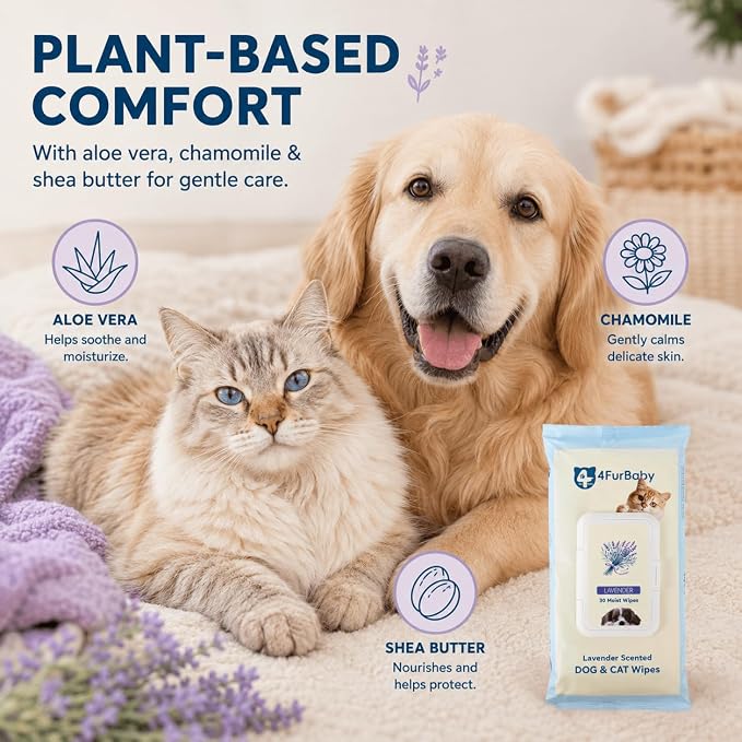 8" x 8" Dog Wipes for Paws and Butt, Lavender, 400 Count | Hypoallergenic and hydrating pet grooming wipes for dogs, cats, and daily care.