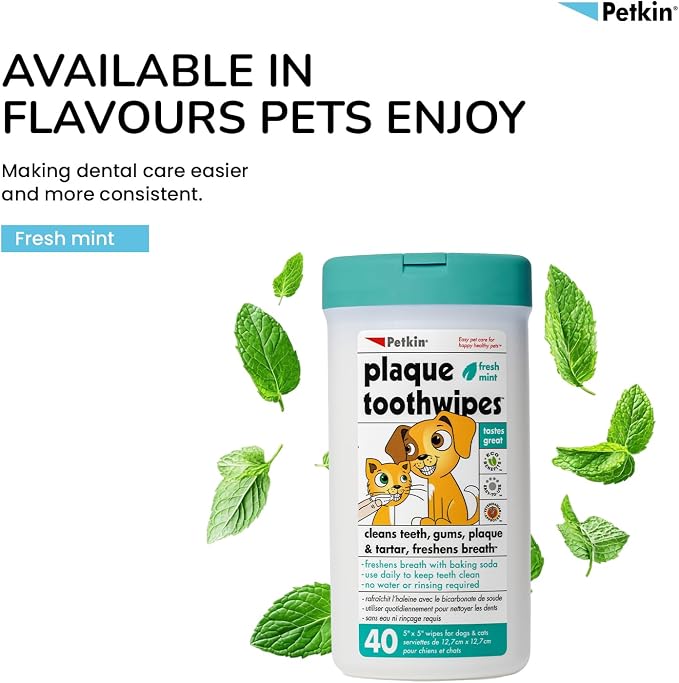 Petkin Cat and Dog Dental Wipes, 80 Wipes (Fresh Mint) - Natural Formula Cleans Teeth, Gums & Freshens Breath - for Daily Use - Convenient Dog Dental Care - 2 Packs of 40 Wipes (80 Wipes Total)