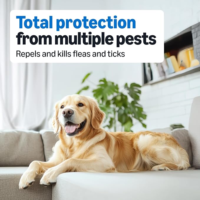 Amazon Basics Flea and Tick Topical Treatment for Medium Dogs (23-44 lbs), Fast Acting and Long Lasting, 3 Count, Packaging May Vary