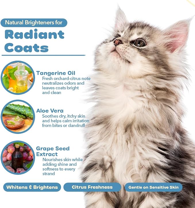 P.E.T. Polar Brite Tangerine Whitening Shampoo — Brightens White & Light-Colored Coats, Tangerine-Botanical Moisture Blend — 5 : 1 Concentrated Cosmetic Grooming Formula (Not a Pesticide) — 16 oz
