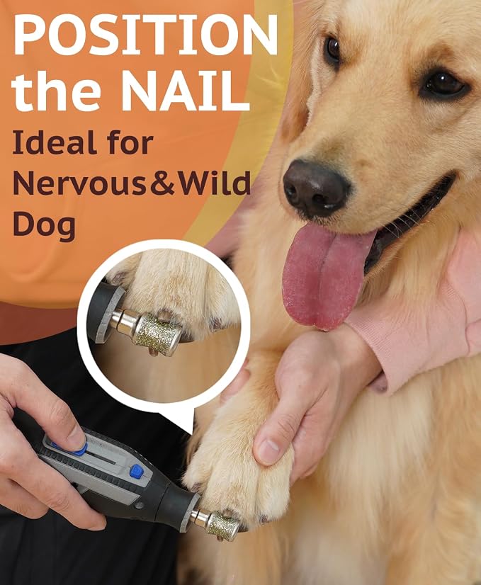 Diamond Dog Nail Grinder Attachment, Diamond Rotory Bit for Dogs&Pets Nail Care, Made for Dremel Grinder for Animals Nail Care & Home Grinder Tools, Retriever, Smooth-grit