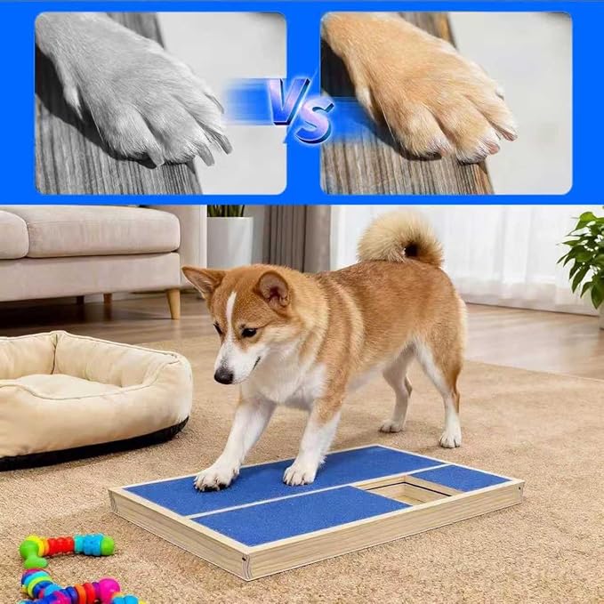 Dog Nail Scratch Pad with Treat Box, Solid Wood Nail Filing Board that Trims Nails Naturally Without Clippers for Dogs that Hate Nail Cutting, Indoor and Outdoor Training Tool (Blue) | Features removable interior dividers for flexible treat placement a...