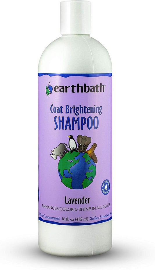 earthbath, Lavender Dog Shampoo - Coat Brightening Shampoo for Dogs, Deodorizing Dog Wash, Made in USA, Shampoo for Smelly Dogs, Cruelty Free Pet Shampoos - 16 Oz (1 Pack)