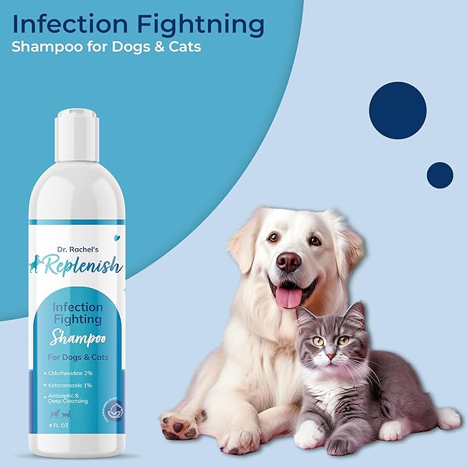 Replenish Anti Itch Dog Shampoo - Medicated Antiseptic Shampoo for Skin Irritation Treatment & Itchy Skin Relief - Dr. Rachel’s Chlorhexidine Dog Shampoo for Yeast with Cucumber Melon Scent - 8 oz