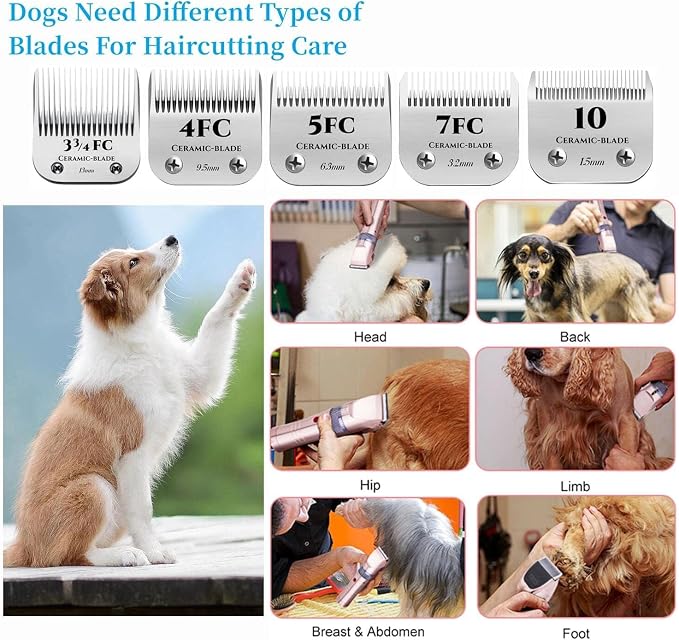 for Andis 10 Blades Dog Grooming Blades Compatible with Oster A5,Wahl km10 Dog Clippers for Animal Dog Cat Horse,Stainless-Steel Blade,2-Pack
