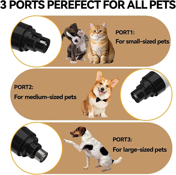Silent Pet Nail Grinder for Dogs & Cats, 3 Grinding Heads | Professional 2-Speed Rechargeable Dog Nail Trimmer for Small/Medium Dogs & Cats, Painless Paw Grooming