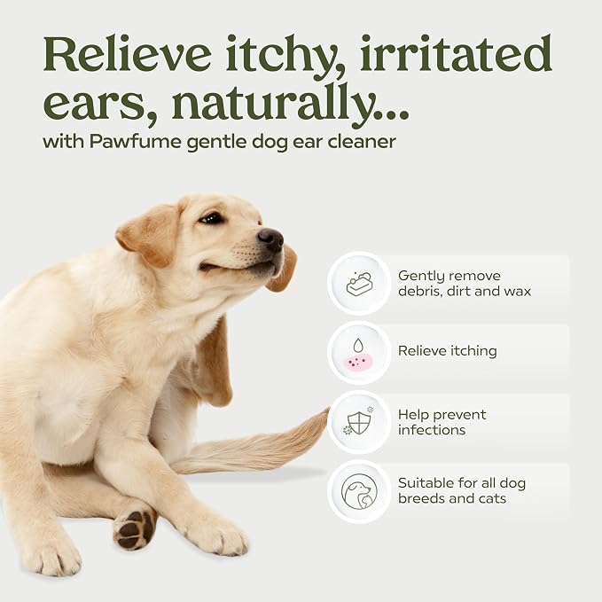 Pawfume Dog Ear Cleaner Solution, 2-Pack – Soothe Itchy Ears Instantly – with St. John’s Wort & Almond Extracts, Vet-Certified Formula, Alcohol-Free & Sulfate-Free – Dog Ear Wash for All Breeds