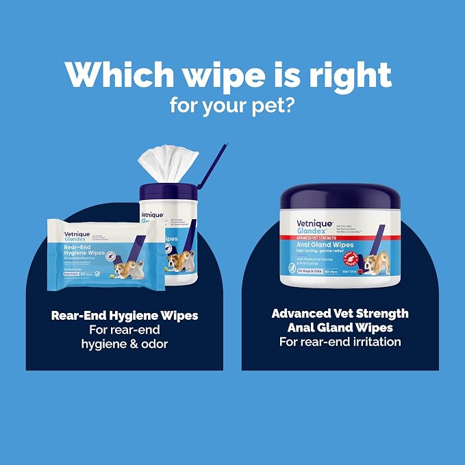 Vetnique Glandex Rear End Wipes for Dogs & Cats, Anal Gland Hygiene & Deodorizing Dog Wipes for Paws and Butt, Boot The Scoot with DeoPlex Enzyme, Aloe & Vitamin E (75ct)