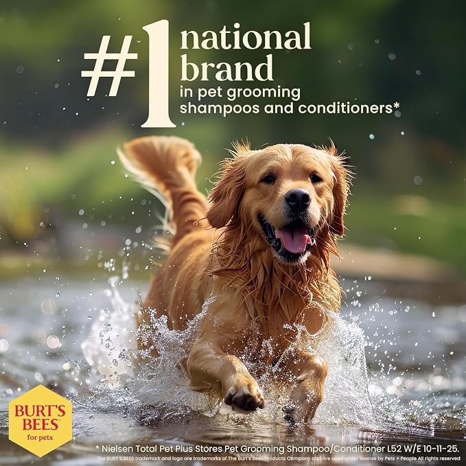 BURT'S BEES FOR PETS Deodorizing Spray for Dogs with Apple and Rosemary Extract, 99.7% Natural Origin, Gentle Waterless Dry Dog Shampoo, pH Balanced for All Dogs, 10 Fl Oz