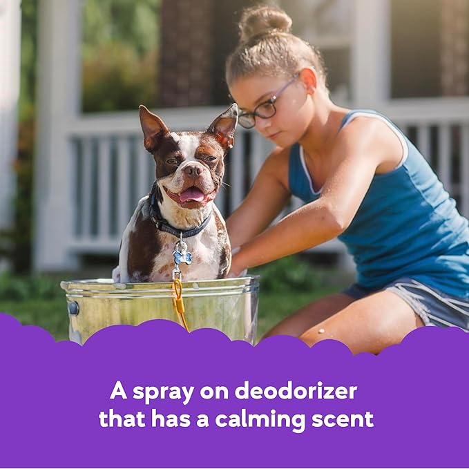 Buddy Splash Spritzer & Conditioner for Dog Grooming, Lavender & Mint, 16 oz. Bottle