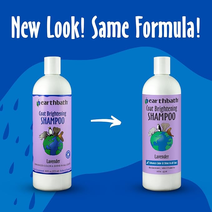 earthbath, Lavender Dog Shampoo - Coat Brightening Shampoo for Dogs, Deodorizing Dog Wash, Made in USA, Shampoo for Smelly Dogs, Cruelty Free Pet Shampoos - 16 Oz (1 Pack)