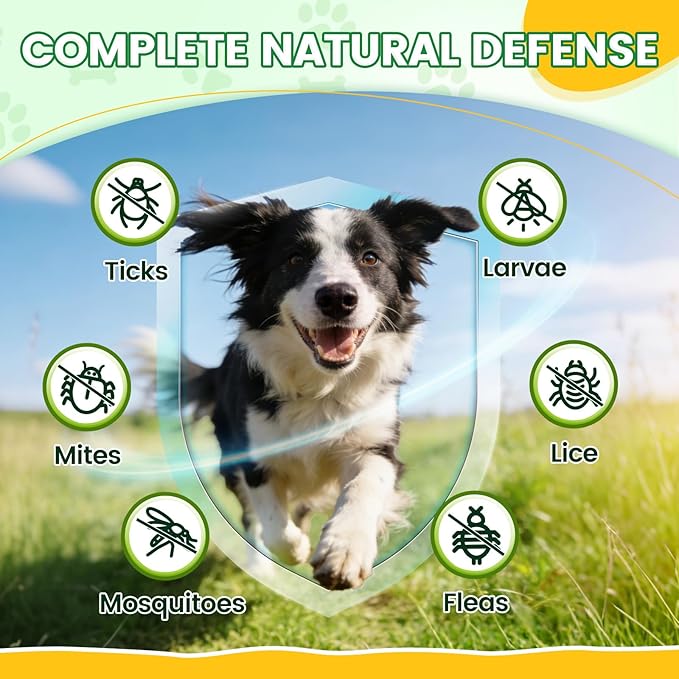 Flea & Tick Prevention for Dogs Chews – 500 Tasty Chicken Flavor Soft Chews, with Pumpkin Seed Extract, Fish Oil, and Vitamins for Dogs, Puppies, All Breeds & Ages.