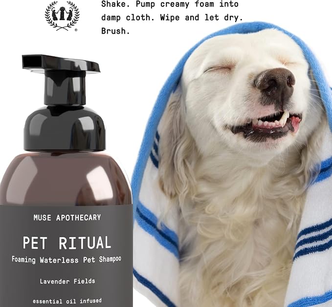 Muse Apothecary Pet Ritual Foaming Waterless Shampoo for Dogs, Waterless Dog Shampoo Foam, No Rinse Dog Shampoo, Waterless Dog Shampoo for Large Dogs - Essential Oils Infused, 11.5oz Oatmeal + Mango