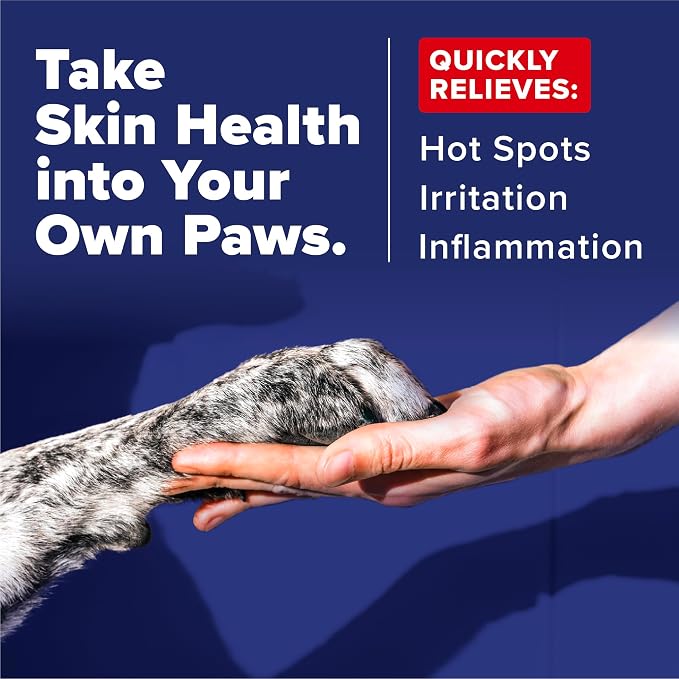 OxyMed Hot Spot Spray for Dogs, Skin Comfort Grooming Spray with Chlorhexidine, Lidocaine & Oatmeal, Fragrance Free, 8oz