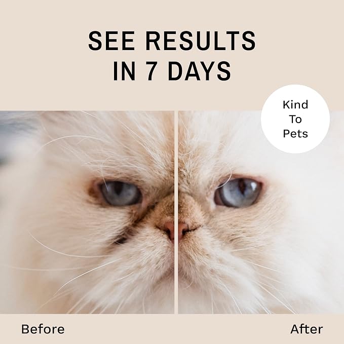 Eye Envy Tear Stain Remover Powder for Dogs and Cats. Natural, Safe Formula. Apply Around Eyes. Absorbs and Cleans Tears and Staining. Keeps Area Dry. Made in The USA. (2.5 oz)