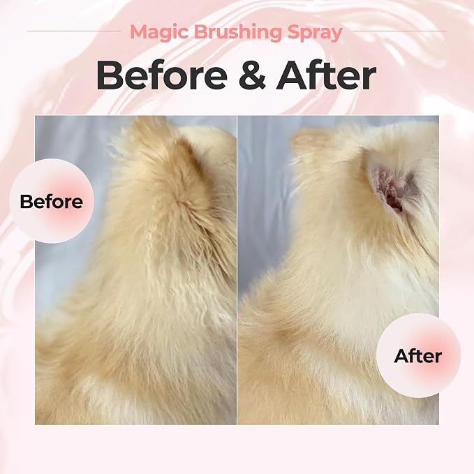 JAYU PET Magic Brushing Spray for Dogs Refill Bottle (5.8fl oz) | Fur Detangler & Dematting Solution, Hypoallergenic Deodorizer, Conditioner & Itch Relief, Shining & Grooming Spray