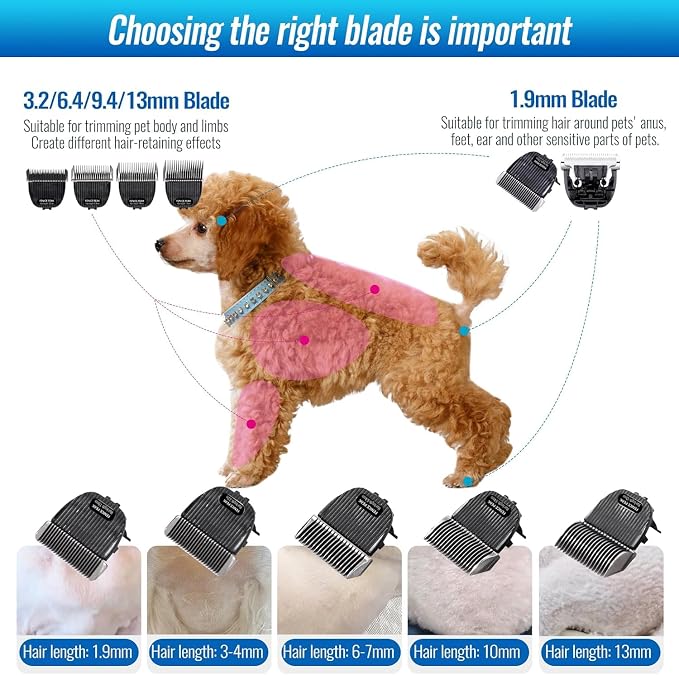 3FC Low Noise Pet Dog Grooming Clippers Blade, 440C Stainless Steel Fixed & Ceramic Moving Blade, Detachable, 13mm (1/2") Cutting Length Replacement Blade (1 Count)