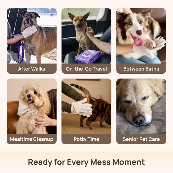 HICC PET Cleaning Deodorizing Glove Wipes for Dogs & Cats, Hypoallergenic Hydrating & Nourish Fur Pet Grooming Glove Wipes, Pet Bathing Wipes for Horse Coat Care, 20pcs Rose Scent