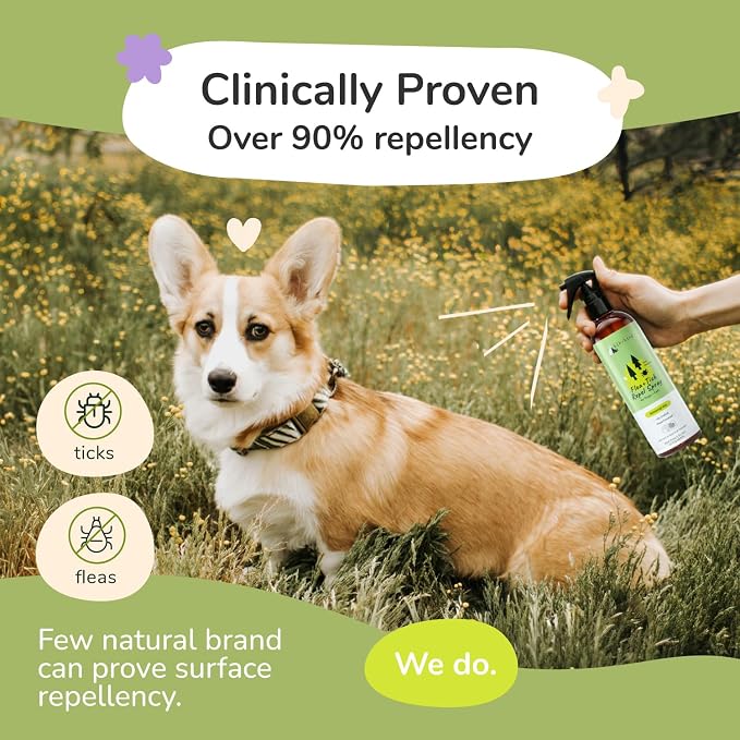 Flea Tick Protection Kit (Lavender Shampoo - Lemongrass Spray)
