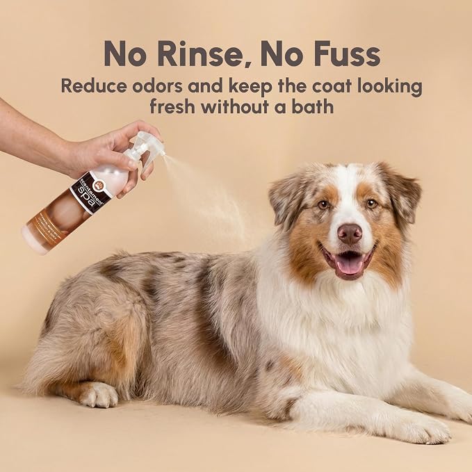 Best Shot Scentament Spa Botanical Body Splash, Detangler Spray, Hypoallergenic Body Spray for Cat, Dog, Warm Vanilla Sugar, 8 Oz.