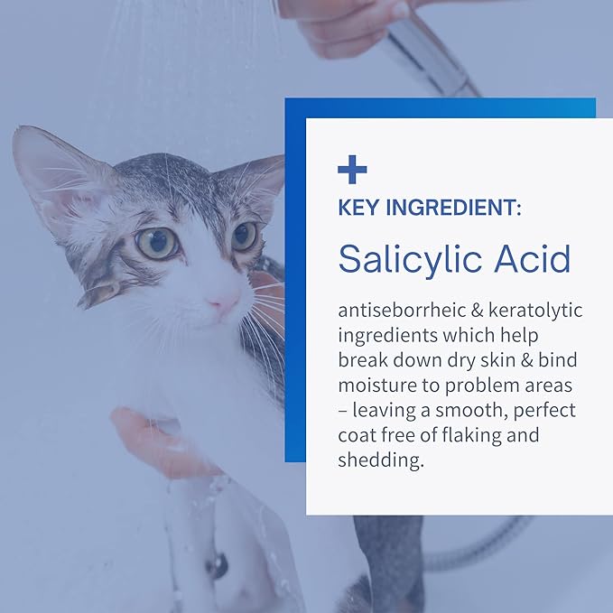 Antiseborrheic Medicated Shampoo for Dogs and Cats, 12 Oz
