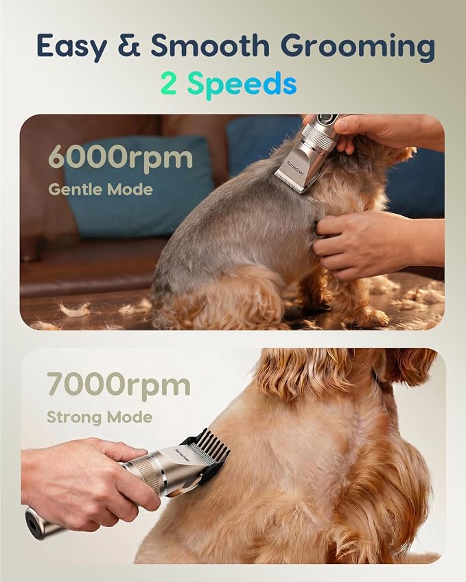 Dog Clippers Low Noise, 2-Speed Quiet Dog Clippers for Grooming Kit Cordless Rechargeable Hair Clippers Shaver Trimmer for Small & Large Dogs,Cats and Animals (Gold)