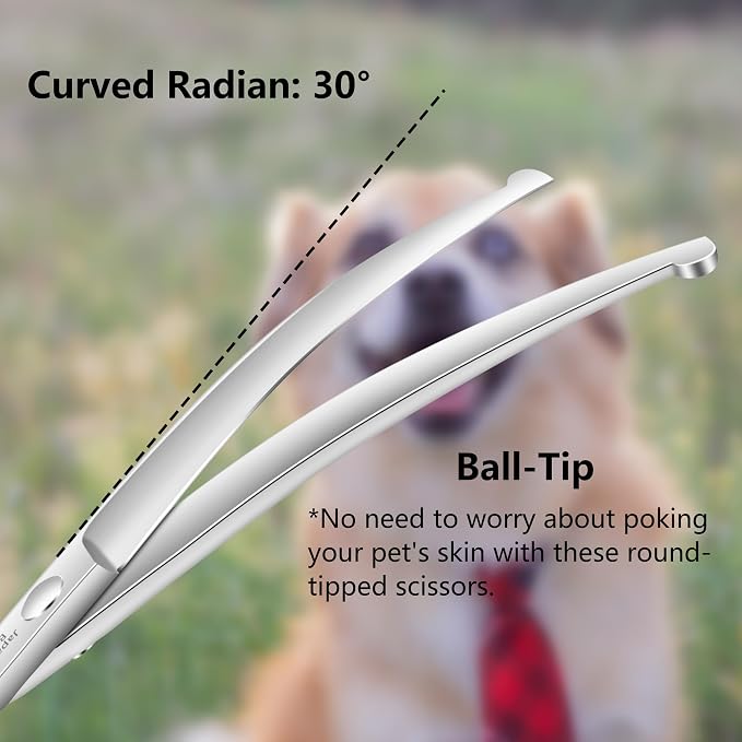 HASHIMOTO Curved Dog Grooming Scissors with Safety Round Tips, 6.5 inch. | Lightweight, No Stabbing with Blunt Tip, 440C Stainless Steel, Sharp, Friendly to amateur.