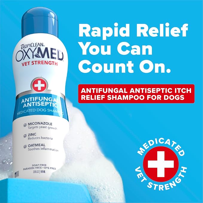 OxyMed Medicated Antifungal Dog Shampoo, Yeast Dermatitis Treatment for Dogs, Deep Cleaning & Healing Formula with Miconazole, Zinc & Oatmeal, 20oz