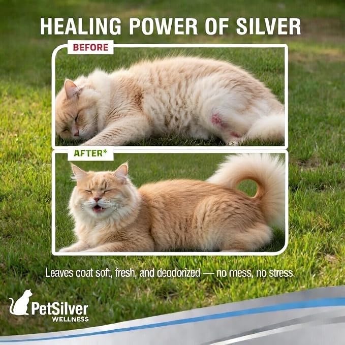 PetSilver Waterless Cat Shampoo - No Rinse Bath & Dry Shampoo for Cats - Long-Haired & Sensitive Skin - Cleans, Conditions & Moisturizes - Hypoallergenic & Fragrance-Free - Patented Formula - 5 fl oz