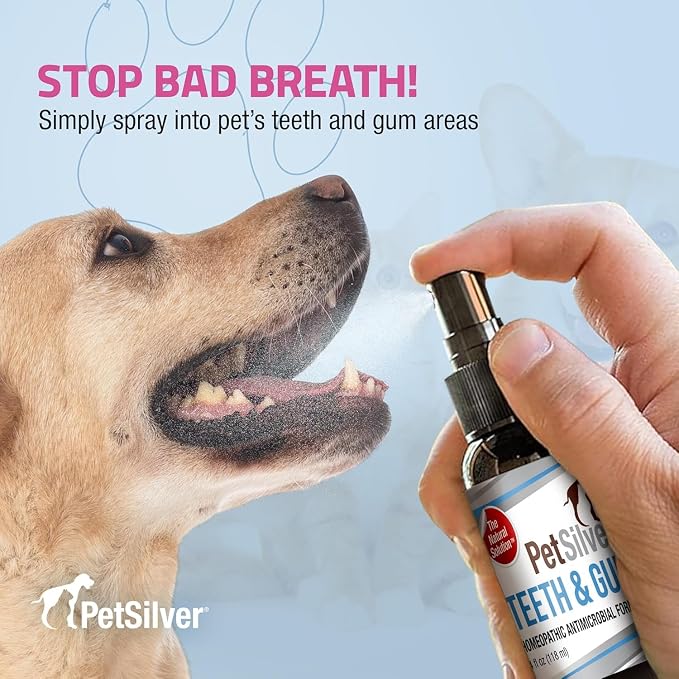 PetSilver Teeth & Gum Spray - Dog Dental & Teeth Cleaning Spray for Plaque & Tartar Build-Up Reduction - Natural Breath Freshener for Dogs & Cats - Patented Chelated Silver - Made in USA - 4oz, 2-Pack