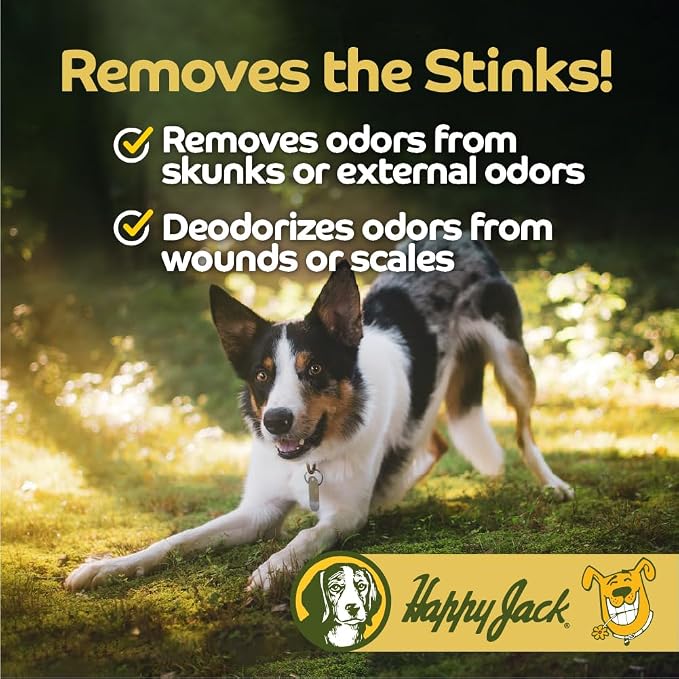 Happy Jack Dog Itch Relief Shampoo & Medicated Treatment, 12 oz | Stops Itching, Scratching & Gnawing Fast, Soothes Flea Bites & Allergies, Skin & Coat Care