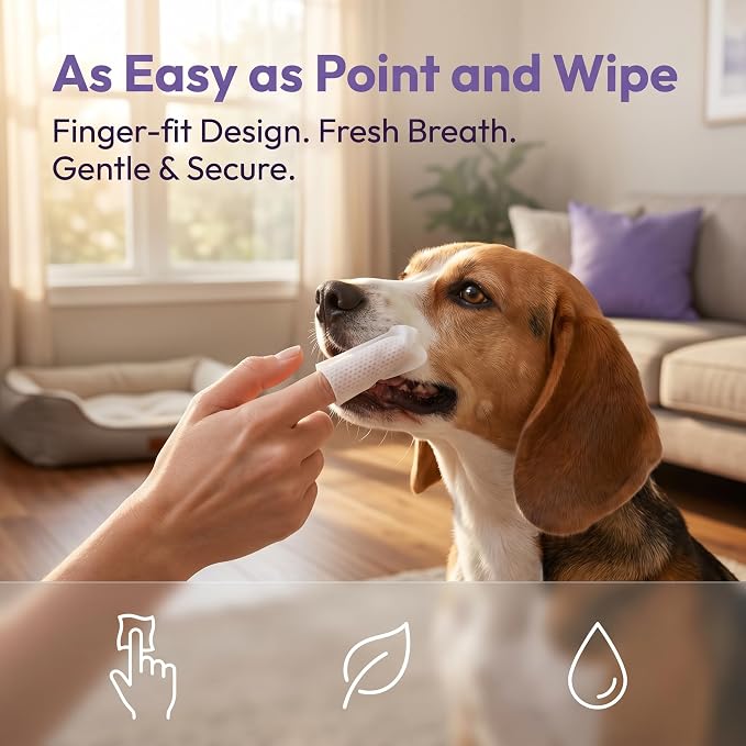 JoanofArc Teeth Cleaning Wipes for Dogs & Cats, Dental Care & Tear Stain Care Wipes, Teeth Cleaning for Pets, Help Clean Plaque, Tartar & Freshen Bad Breath, 60 Counts