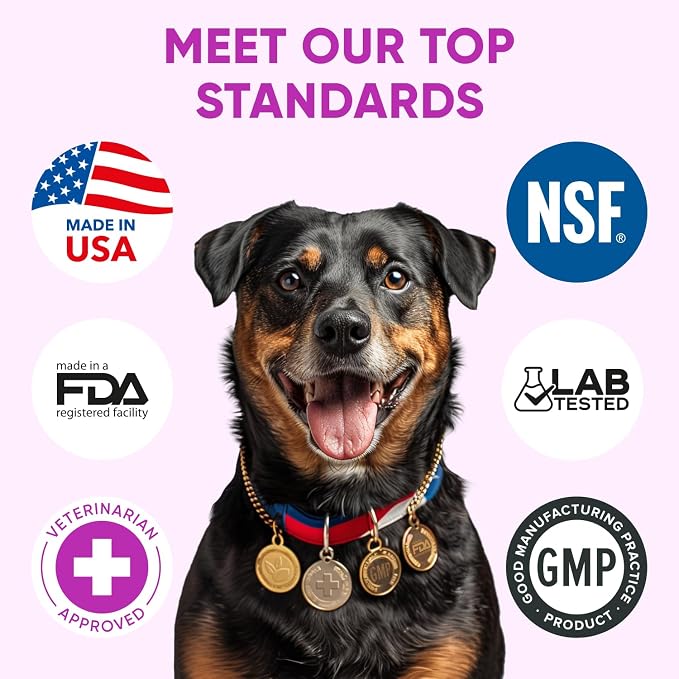 Dog Allergy Relief Chews for Itchy Skin - Seasonal and Food Allergy Chews for Shedding, Licking Paws, Hot Spot, Ears - USA Product - Omega 3 Fish Oil Skin & Coat Supplement - Anti Itch Immune Treats