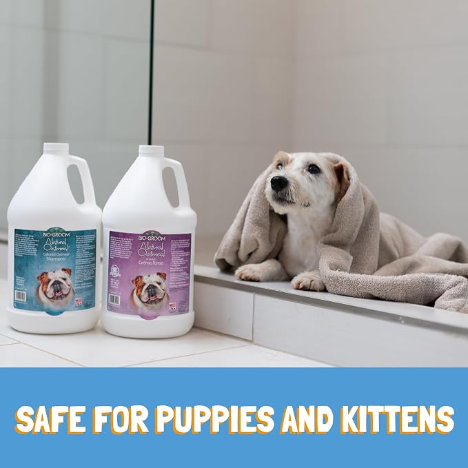 Bio-Groom Oatmeal Dog Shampoo - for Allergies and Itching, Cruelty-Free, Dog Bathing Supplies, Puppy Shampoo for Sensitive Skin, Made in USA, Anti-Itch Dog Products - 5 Gallons | Cruelty-Free, Dog Bathing Supplies, Puppy Shampoo for Sensitive Skin, Mad...