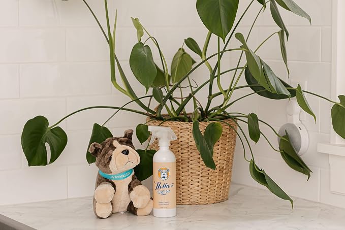 Nellie's Fresh Dog – Waterless Dog Shampoo – Oatmeal Mango Scent, Enzyme Blend, Plant-Based, No Harsh Ingredients – Ideal for All Breeds, Long or Short Hair – Simple Pet Grooming (16 fl oz)