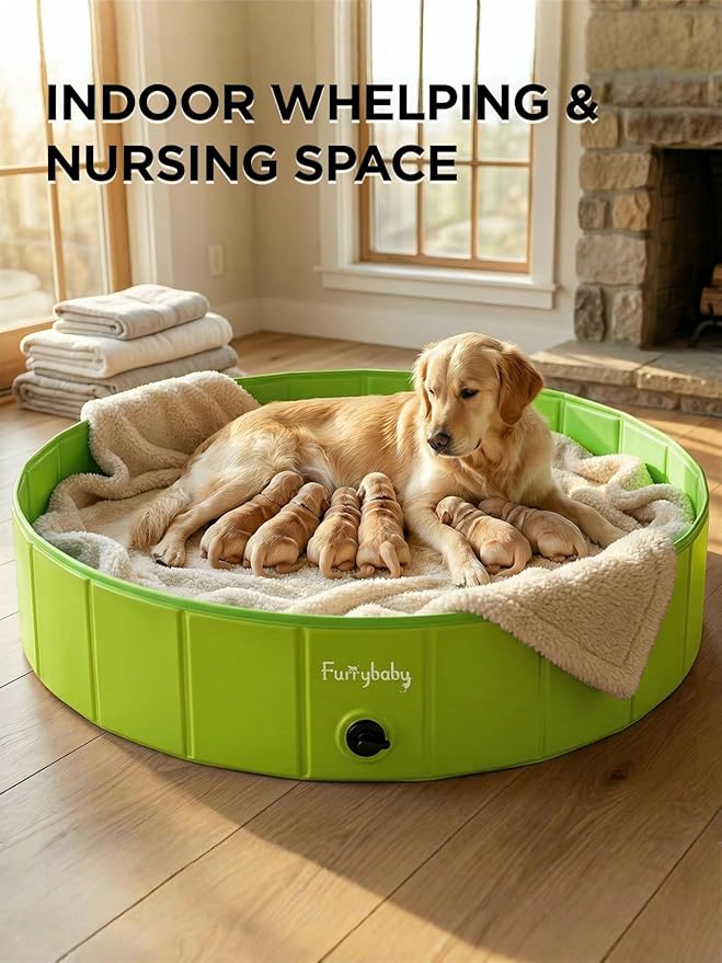 Furrybaby Dog Pool, Kiddie Pool with Hard Plate Collapsible Pet Bath Foldable Swimming Pet Pool Portable Green 32''