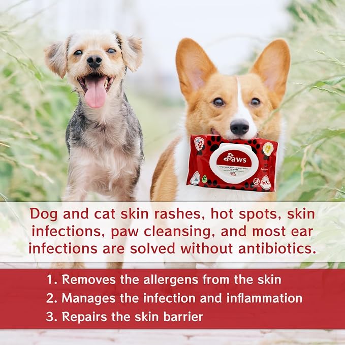 PawsFurUs® All-Natural Pet Wipes for Dogs & Cats - Doctor-Formulated for Total Pet Care with Antifungal & Antibacterial Protection, pH Balancing, Moisturizing, Deodorizing & Fast Itch Relief - 72ct.
