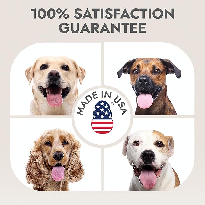 Kong Detangler Spray for Dogs – Cucumber Melon Scent, 16 fl oz – Loosens Knots, Softens & Smooths Coats, Biodegradable, Alcohol-Free, Dye-Free, Cruelty-Free, for Sensitive Skin, Made in USA