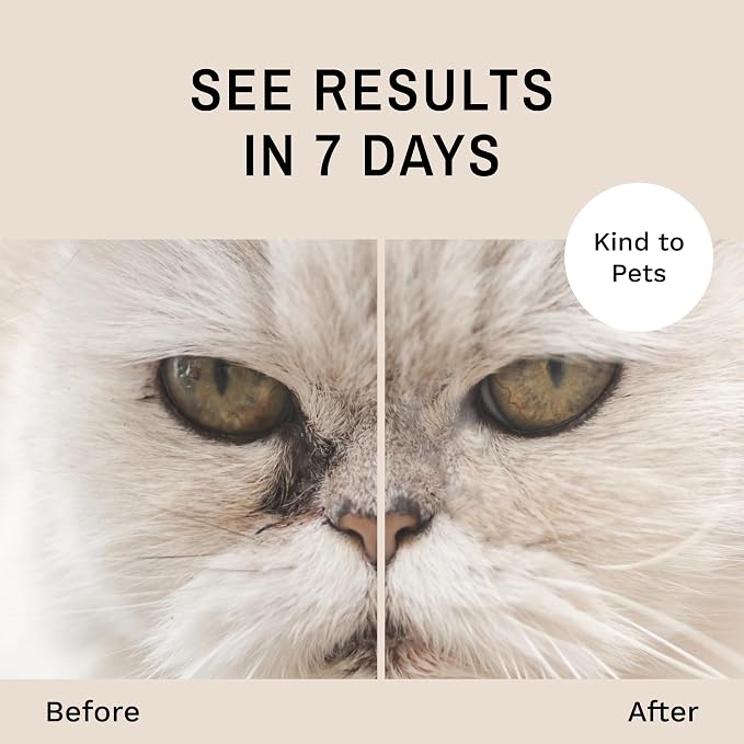 Eye Envy Cat Tear Stain Remover Starter Kit with ProPowder Brush. Stain Solution, Applicator Pads, Stain Powder, and Small Applicator Brush. Tear Stain Cleaning Kit. Lasts 30-45 Days. Made in USA.