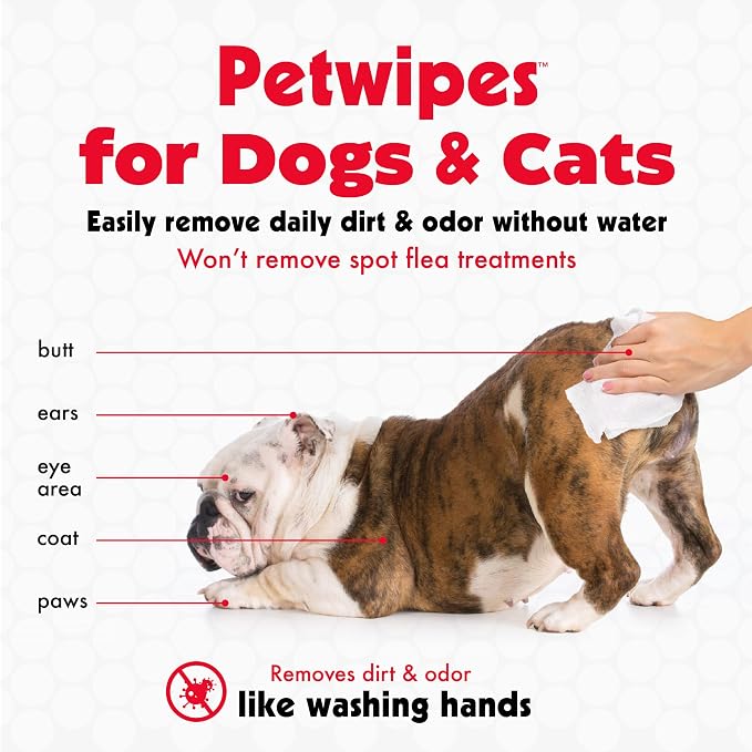Petkin Pet Wipes for Dogs and Cats - 400 Large Wipes - Removes Dirt & Odor - Cleans Ears, Face, Butt, Eye Area - Convenient for Home or Travel - 4 Packs