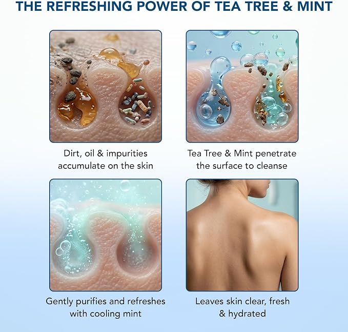 Botanic Hearth Tea Tree & Mint Body Wash, 16 fl oz | Refreshing Body Cleanser with Tea Tree Oil & Mint, Moisturizing Formula, Gentle Daily Use Shower Gel, Fresh Scent, Suitable for Men & Women