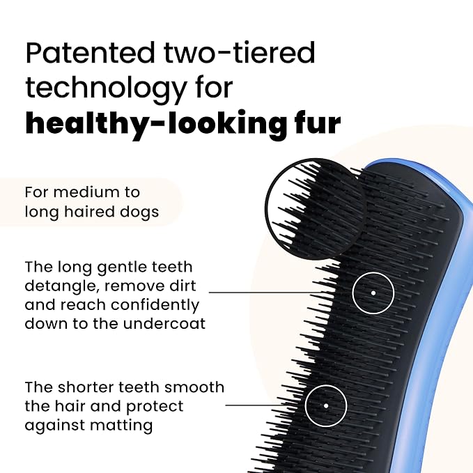 Pet Teezer Detangling Dog Grooming Brush, Dog Bath Brush for Long Haired Breeds and Wet or Dry Fur, Large, Blue & Grey