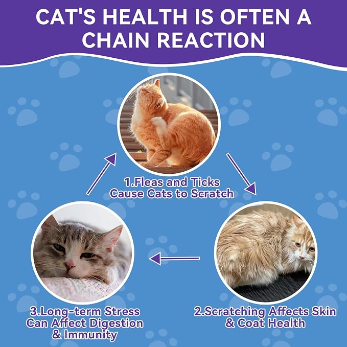 Flea and Tick Prevention for Cats - 500 Crunchy & Creamy Chews, Cat Flea Treatment with Skin & Coat Support, Oral Natural Flea Chewables for Gut & Immunity Support for All Breeds & Ages Chicken Flavor
