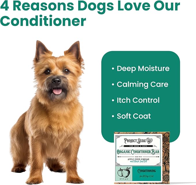 Project Sudz Dog Shampoo and Conditioner Bar with Hemp Seed Oil | Organic Dog Shampoo for Allergies and Itching | All Natural Bar Shampoo and Conditioner (1)