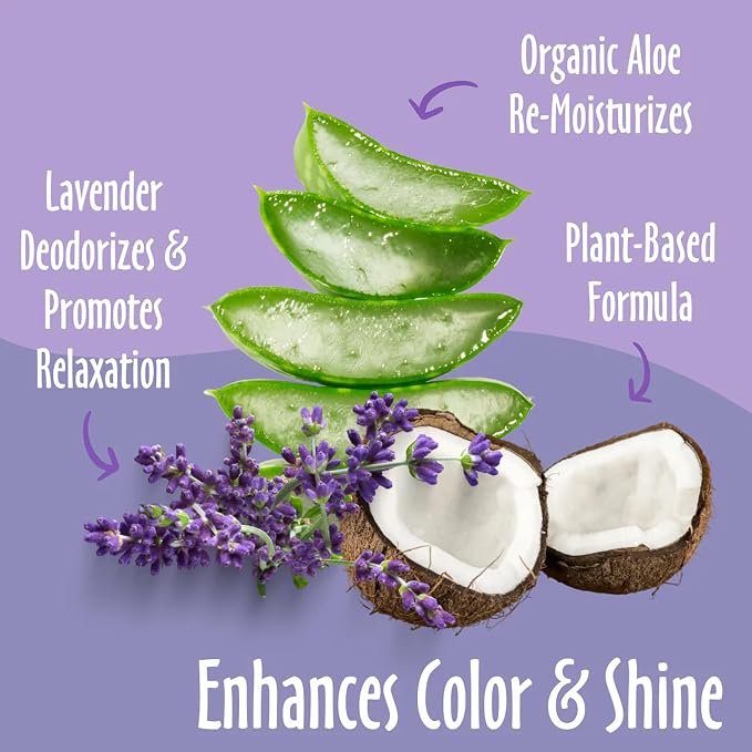 earthbath, Lavender Dog Shampoo - Coat Brightening Shampoo for Dogs, Deodorizing Dog Wash, Made in USA, Shampoo for Smelly Dogs, Cruelty Free Pet Shampoos - 16 Oz (1 Pack)