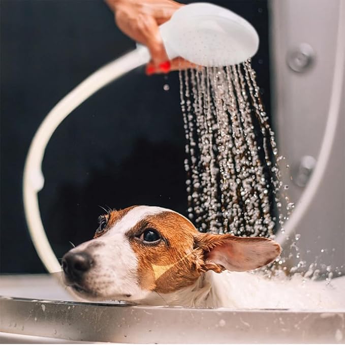 2m/6.56ft Sink Spray Rubber Hose Portable Sink Hose Faucet Sprayer Shampoo Sprayer Handheld Faucet Shower for Pets,Bathing Baby,Washing Hair,Rinsing Vegetables