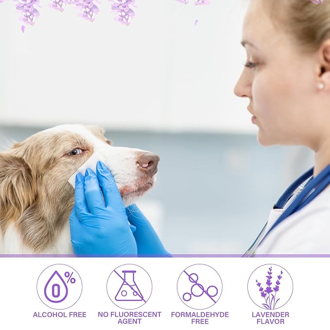 Treela 10 Packs of 80 Dog Wipes Pet Wipes Cat Grooming Supplies for Paws, Butt, Ear, Skin, Body Bath Cleaning Stain Odor Remover, Home or Travel Use(Lavender)