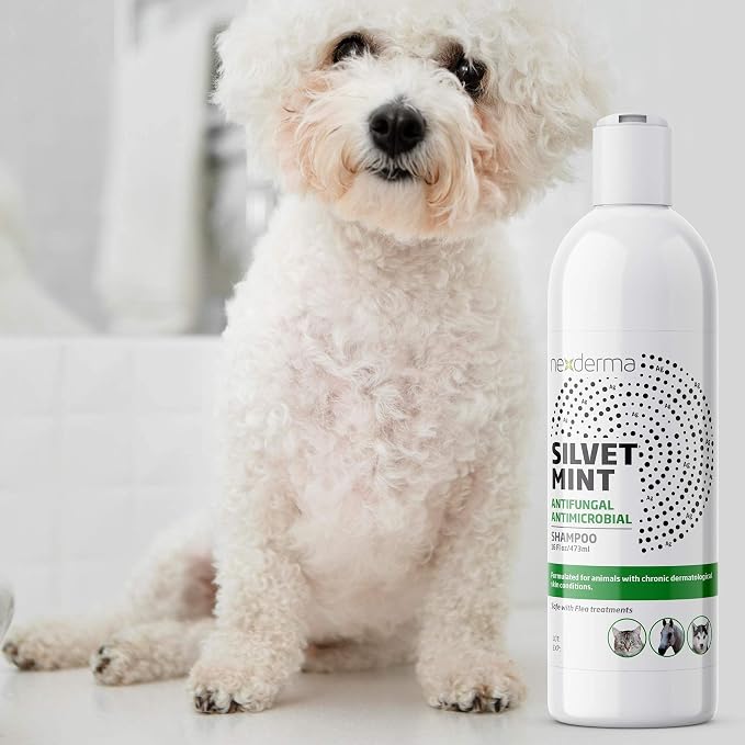 NEXDERMA Natural Colloidal Medicated Pet Shampoo for Dogs and Cats - Tearless Hypoallergenic, Soap Free with Coconut Oil and Mint, Relief for Allergies, Odor, Itchy, Dry, Irritated Skin - 16oz, 1Pack