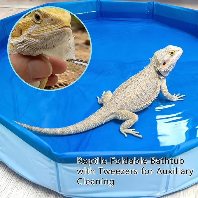 Foldable Bearded Dragon Pool Bathtub, Reptile Bath Pool Bearded Dragon Swimming Pool with Brush Gloves Reptile Accessories Swimming Pool for Turtle Lizard Small Pets
